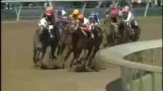 2004 Breeders Cup Distaff - Ashado