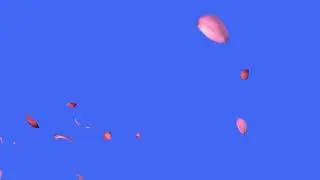 flower petals falling green screen