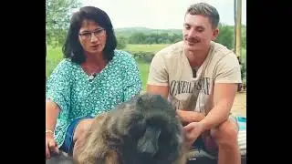 Cindy the Baboon is our sister 