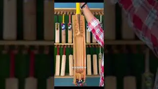 AA Boom edition Available #cricket #youtubeshorts #shorts