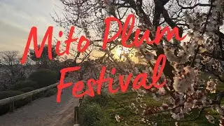 MITO PLUM FESTIVAL PART 2|| JAPAN TRAVEL||. 4K