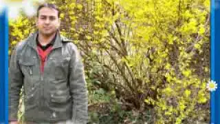 Friends Group Of Pakistan In Italy