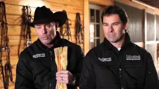 What's Wrong With My Horse - Foundering