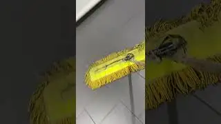 Exciting drymop video