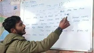 Subject:&ndash; English Topic :&ndash; paragraph writing  (1. The Cow)