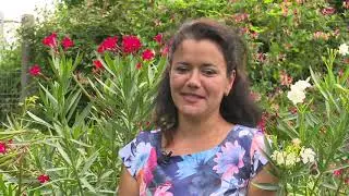 În grădina Danei: Despre Cordyline, Leandru parfumat şi Sunătoarea decorativă (@TVR1)