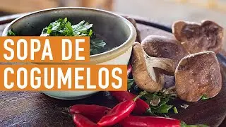 Sopa de Cogumelos : Artemperos