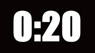 20 SECOND TIMER | LOUD ALARM ⏰