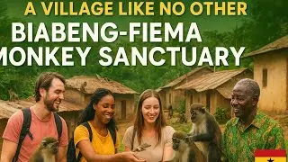 Buabeng-Fiema Monkey Sanctuary &ndash; Where People and Monkeys Live as One