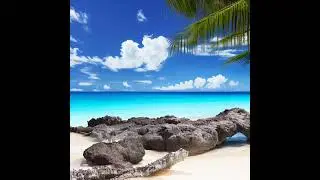 🌊 We Can Always Go Back To Cake (Tropical music 2023) 🌊