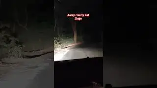 Aarey colony night🌃 view 👽💀 #horrorstation #areycolony