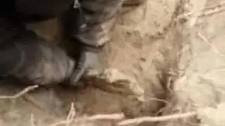 Vid&eacute;o fouilles russie.