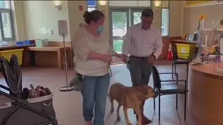 San Jose animal shelter overflowing
