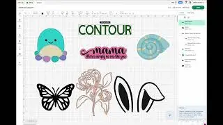 Design Space Contour Lesson