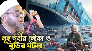 নূহ নবীর নৌকা ও এক বুড়ির ঘটনা। এই সেই ভাইরাল ওয়াজ। মুফতি নাসির উদ্দীন আনসারী। Nasir Uddin Ansari