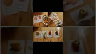 Activities for Cognitive Development