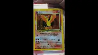 PSA graded my VINTAGE Moltres Fossil Holo. How did it do?