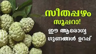 സീതപ്പഴം ആരോഗ്യ ഗുണങ്ങൾ custard Apple benefit #seethapazham #eduquest #eduquestcourses #onlinecourse