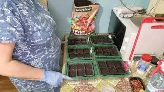 Начинаем сезон посадок!