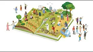 Understanding the Farmer Field School (FFS), What is Former Field School Approach