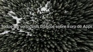 Qu&eacute; dice la Biblia acerca de Foro de Appii - Todos los vers&iacute;culos b&iacute;blicos sobre Foro de Appii