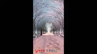 The Time Tunnel led product