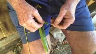 Weaving a grasshopper from coconut leaf fibre