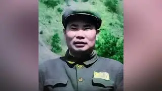 390.越南如何评价杨得志？军事资历深厚，临危受命又匆忙撤离