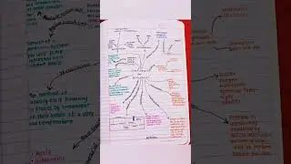 Best MIND MAP For NEET 2023 biology preparation|| Plant growth and development #shorts #neet