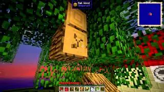 PahiPlays Agrarian Skies with Direwolf20 - Episode 1