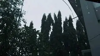 Stop Procrastinating: Heavy Rain on Roof Sounds for Study, Focus and Deep Work