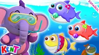 Diez Pequeños Tiburones Bebés | Ten Little Baby Sharks | Canciones Infantiles | Kent el Elefante
