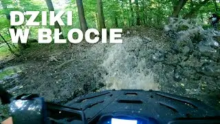 Dziki w błocie! CF MOTO 500 | YAMAHA GRIZZLY | CF MOTO 520 | SEGWAY SNARLER | LINHAI 300