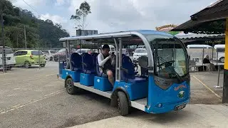 Cameron Valley Tea, Bharat Tea Buggy Ride Tour 2024, must experience !