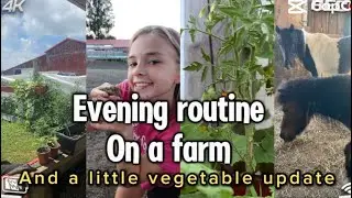 Evening on the farm!
