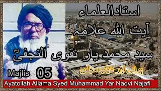 Ayatollah Allama Syed Muhammad Yar Shah Naqvi Najafi