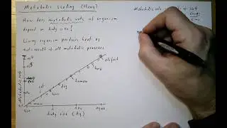 Advanced mathematical modelling, part 57: metabolic scaling and Kleiber's law