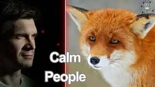 Why Calm People Create Social Pressure