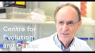 Professor Mel Greaves launches the Centre for Evolution and Cancer