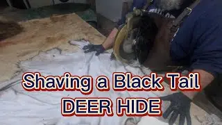Shaving a Black Tail DEER HIDE! | Taxidermy Tales