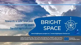 BrightSpace project - Towards a safe and just operating space for EU agriculture