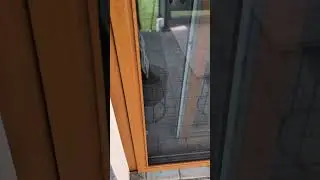 Moskitiera przesuwna | Skuteczna ochrona i wygoda od Rolterm 🦟🚪