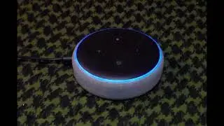 ALEXA ANSWERS Meme Stocks Oct 17 2022
