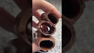 Milka Bunny Chocolate | Milka Cute Bunny Chocolates #milka #bunny #chocolate #asmr #viral #shorts