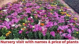 Plant nursery visit | Nursery Visit in winter season | Name and price of plants in nursery