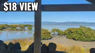 Auckland's Best Budget Campsite? (Ambury Regional Park)