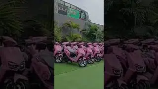 Distribution Ceremony of Pink Scooties | Bilawal Bhutto Zardari | PPP | 95 Pak News