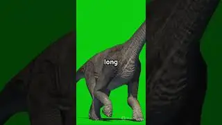 Top 5 Scariest Dinosaurs That lived in Asia's Mainland