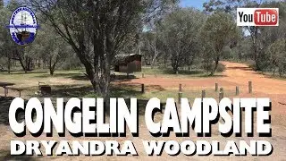 Congelin campsite - Dryandra Woodland - Western Australia