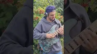 Tapping Bass Riff // Mayones Jabba Custom